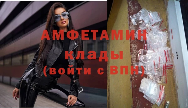 мет Алексин