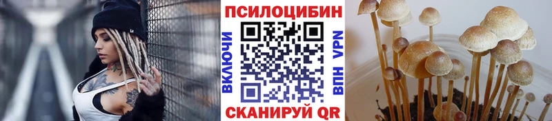 kraken сайт  Лебедянь  Галлюциногенные грибы мицелий  где найти наркотики 